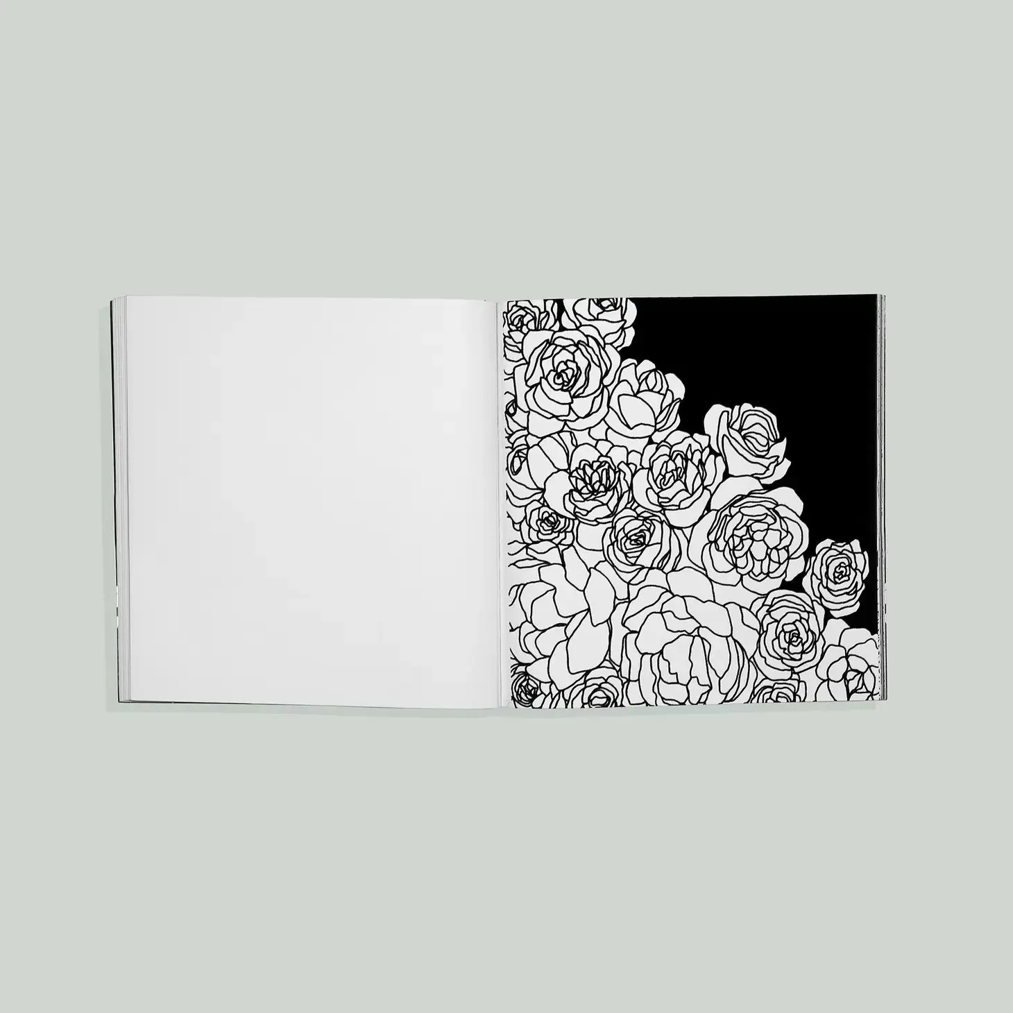 Bloom: Adult Coloring Book