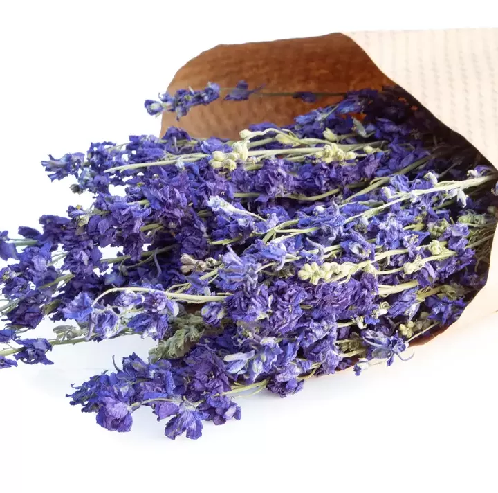 Dried Larkspur Flower Bundles