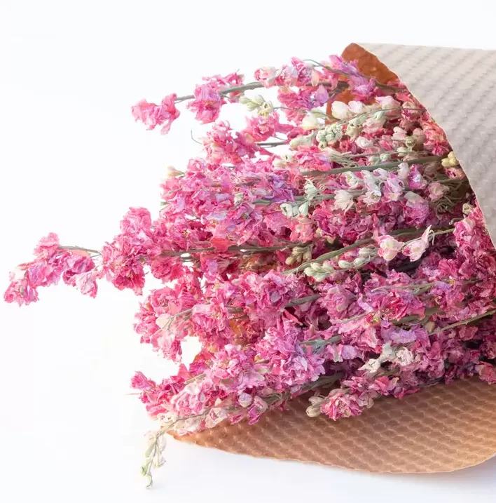 Dried Larkspur Flower Bundles