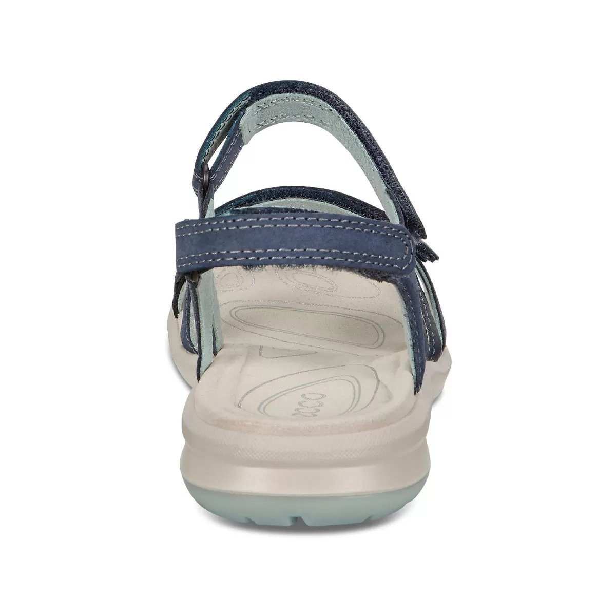 ECCO Cruise II Marine Ice Flower -   