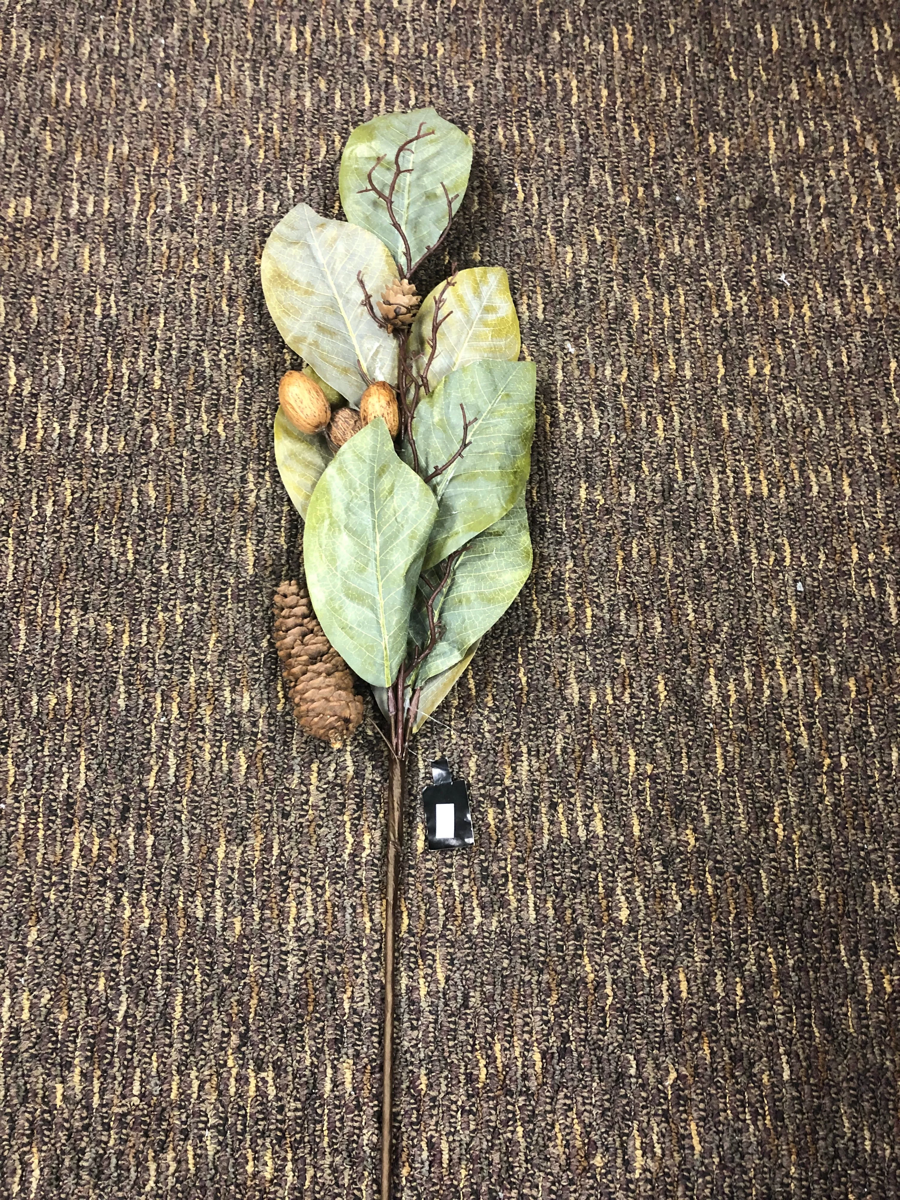 Magnolia Leaves with Pinecones and Nuts Stem