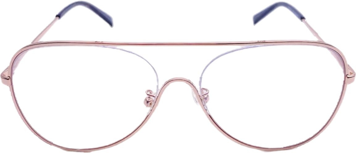 Stella McCartney Metallic Sc0160o Eye Glasses Frames